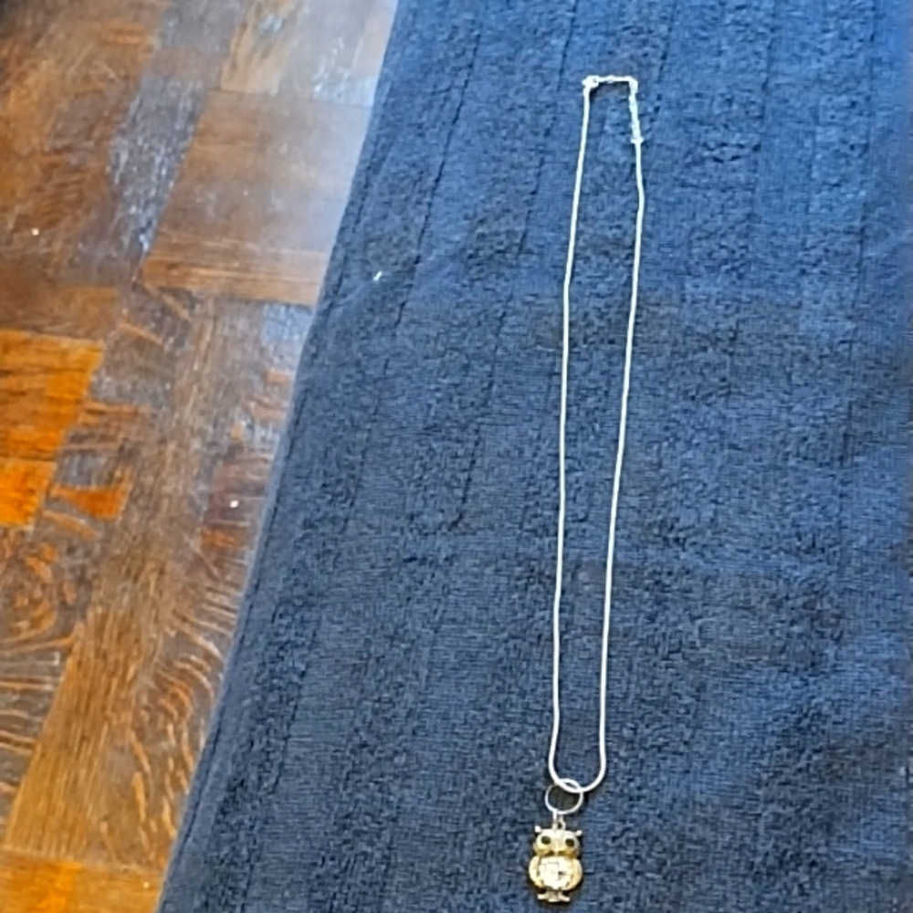 One Ladies Necklace w/Pendant
